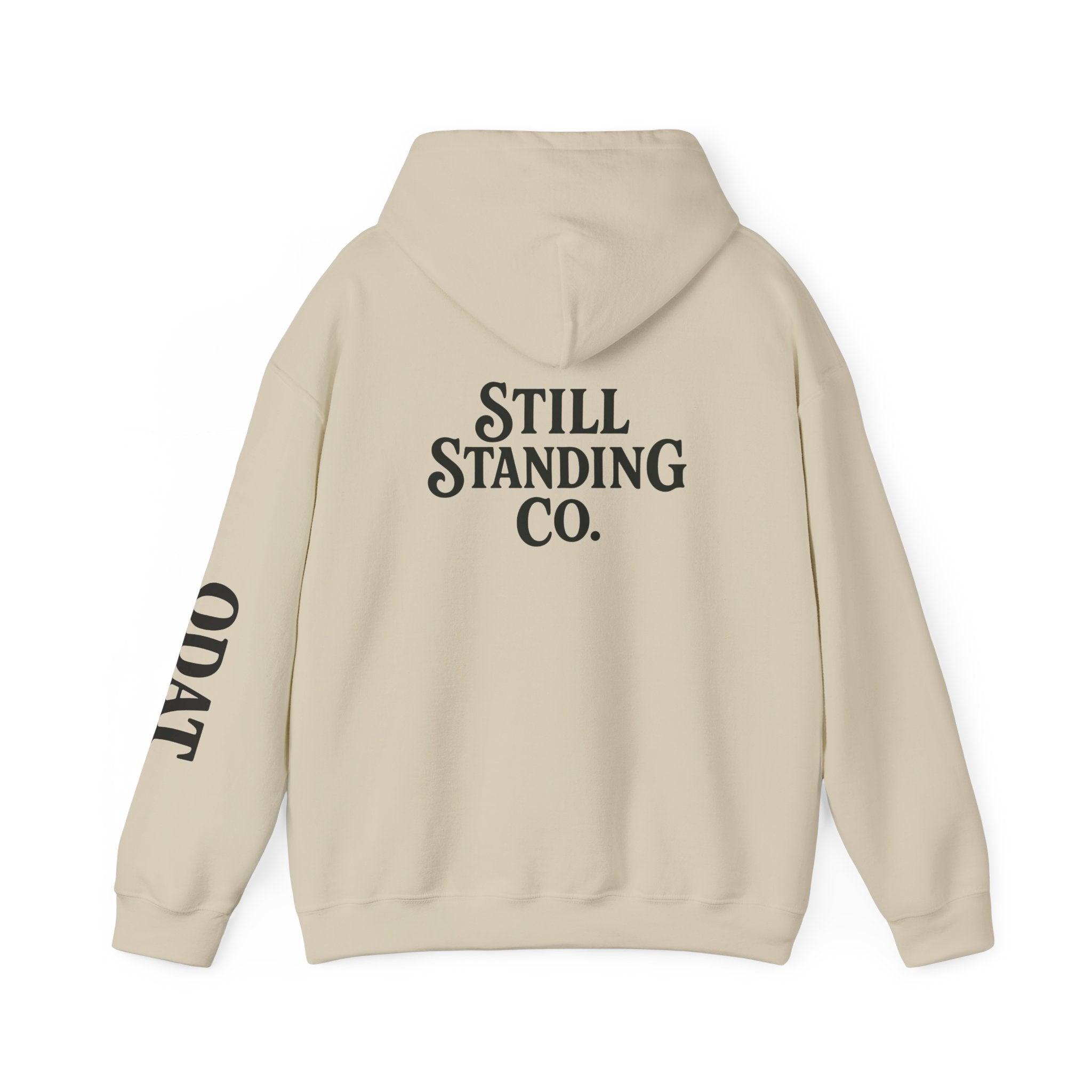 Ask Me About My Character Defects Hoodie — Still Standing Co. Graphic Pullover