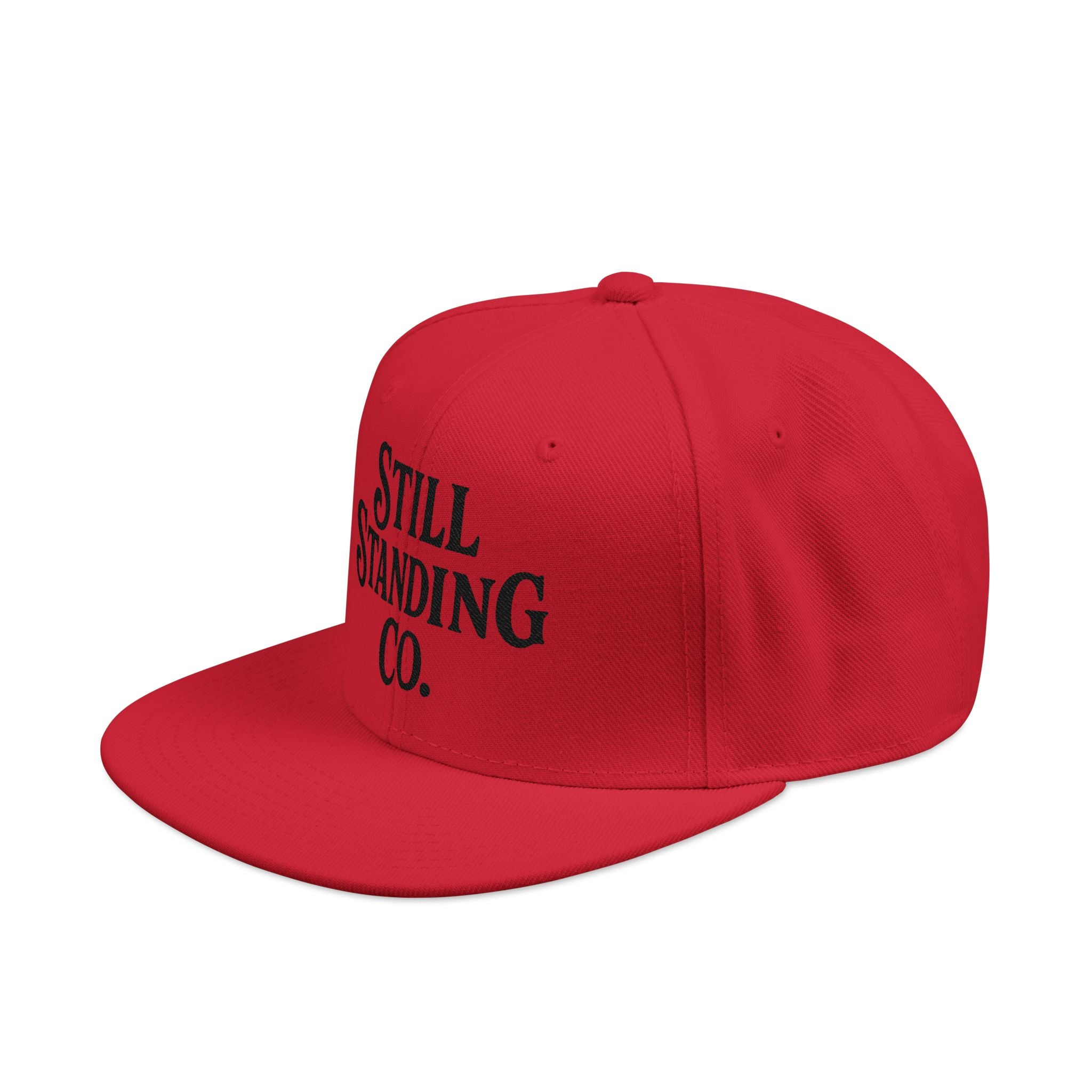 Still Standing Co. Embroidered Snapback Hat