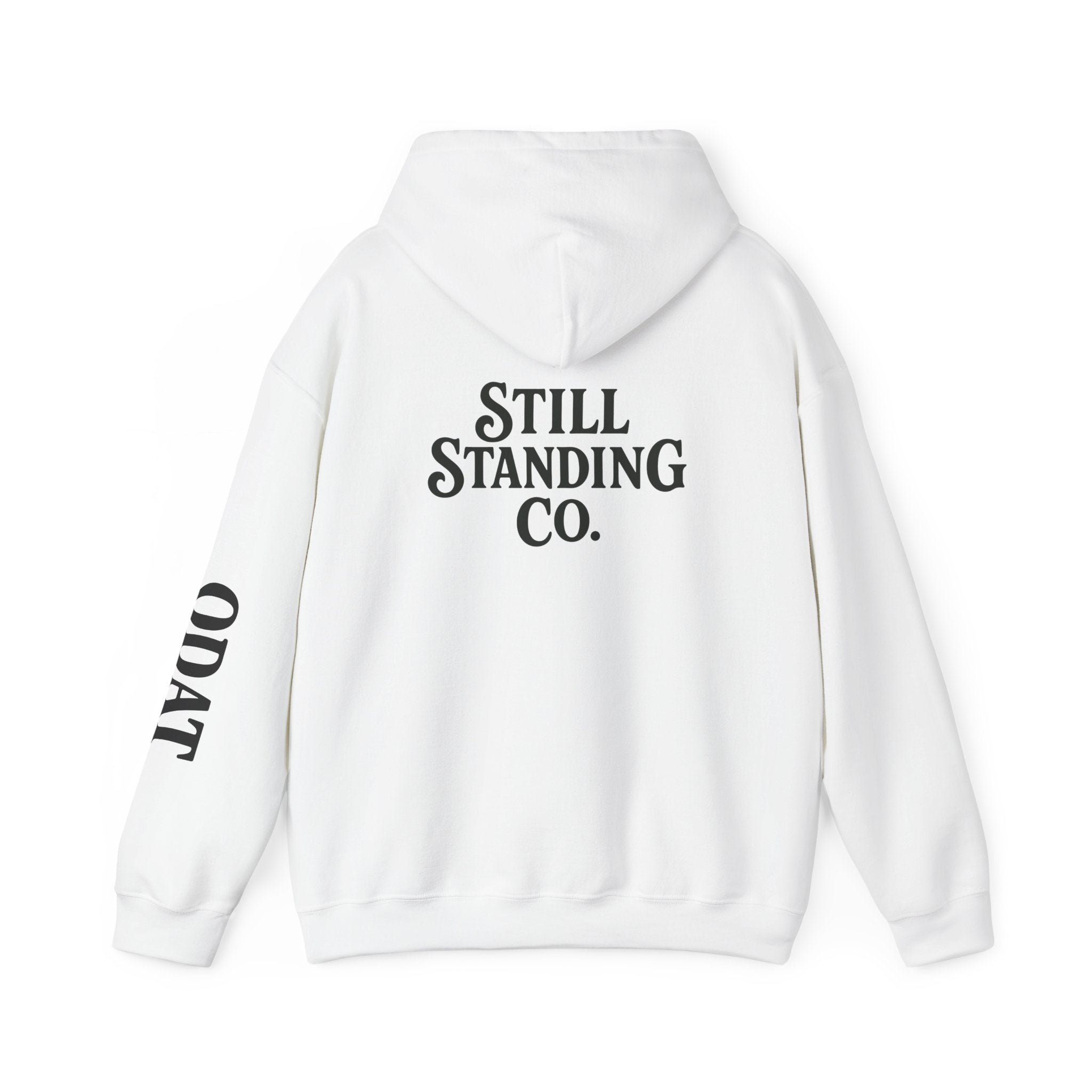 Ask Me About My Character Defects Hoodie — Still Standing Co. Graphic Pullover