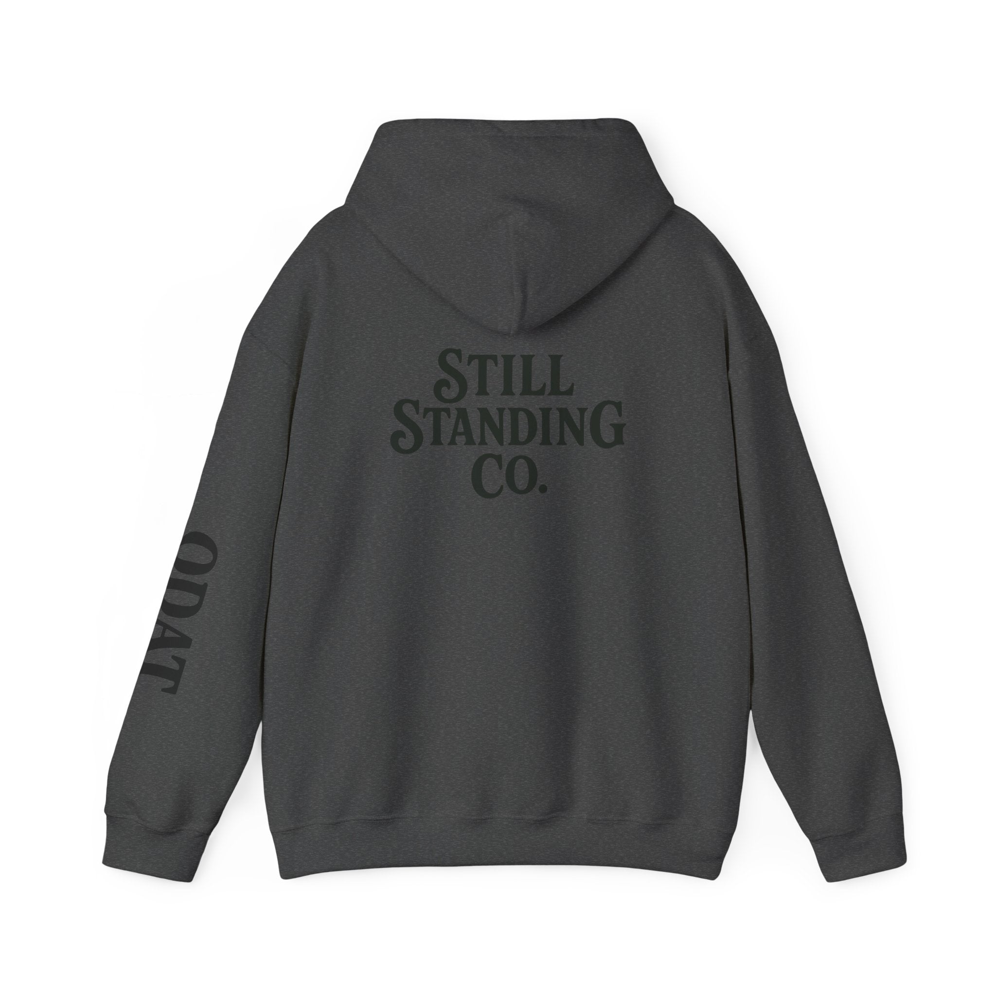 Ask Me About My Character Defects Hoodie — Still Standing Co. Graphic Pullover