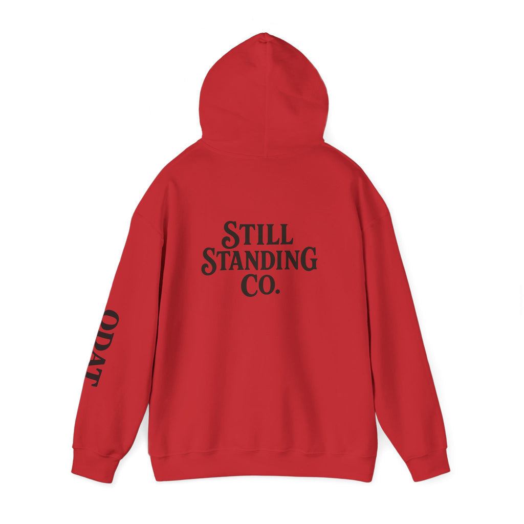 Ask Me About My Character Defects Hoodie — Still Standing Co. Graphic Pullover