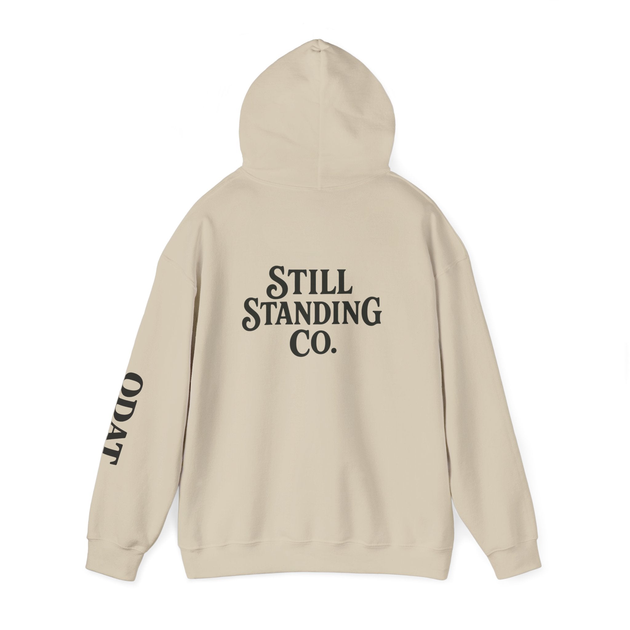 Ask Me About My Character Defects Hoodie — Still Standing Co. Graphic Pullover