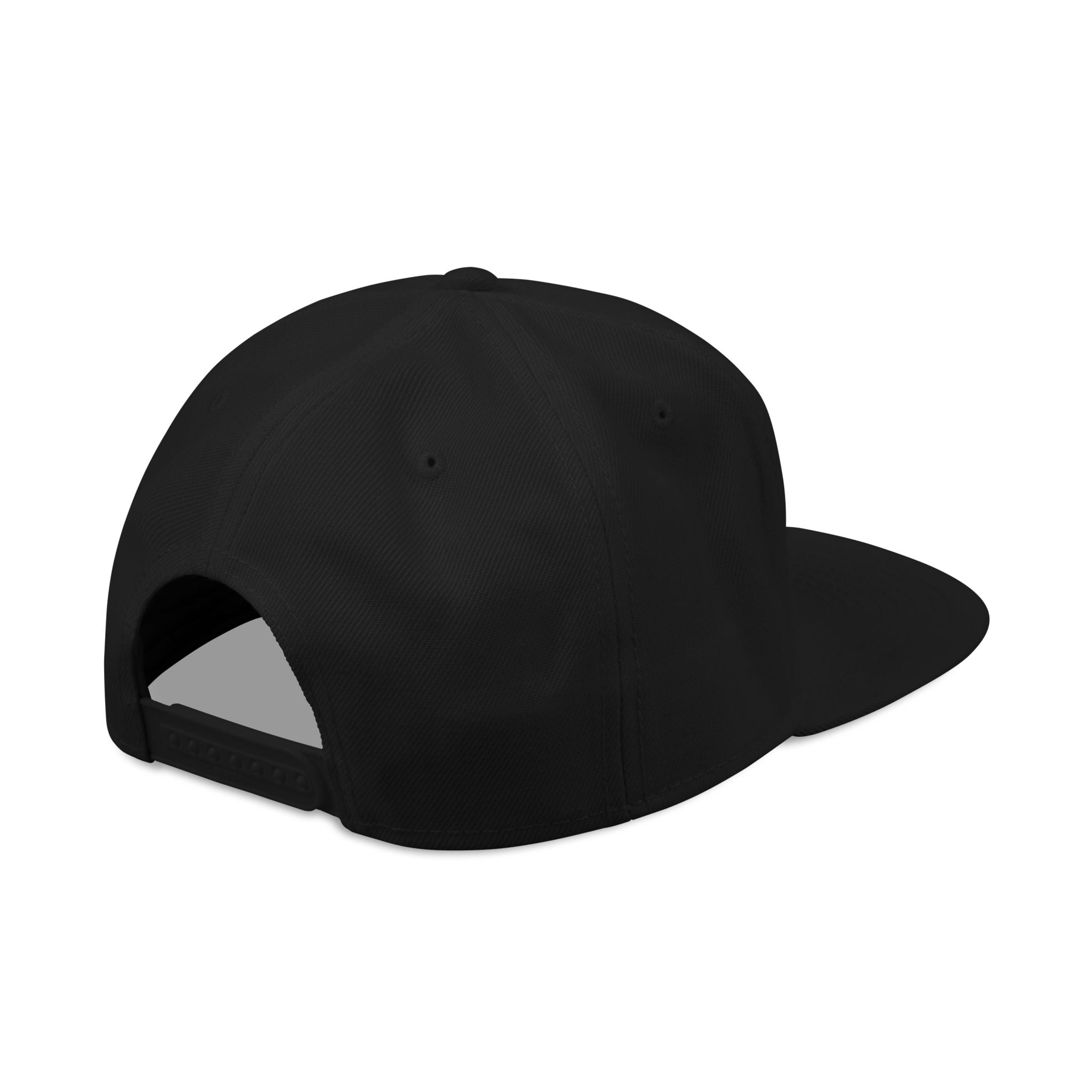 Still Standing Co. Embroidered Snapback Hat
