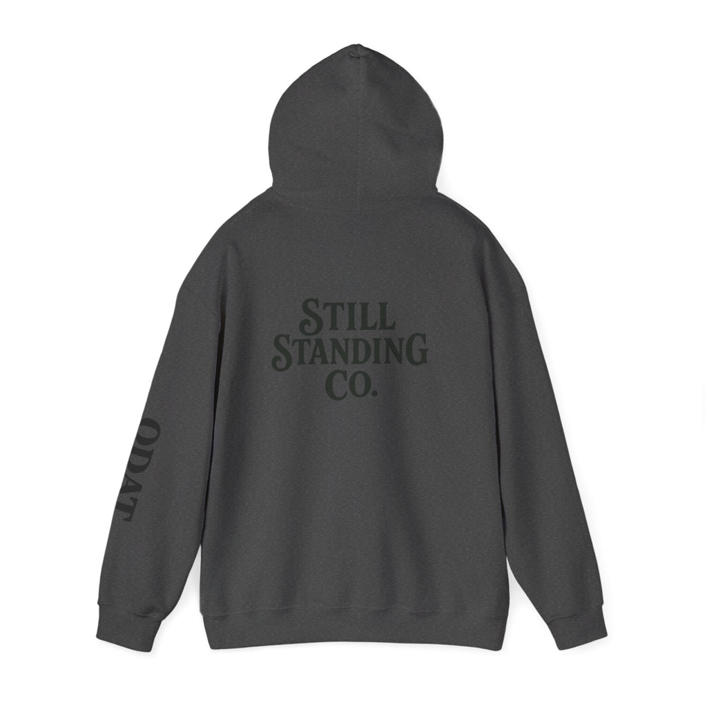 Ask Me About My Character Defects Hoodie — Still Standing Co. Graphic Pullover
