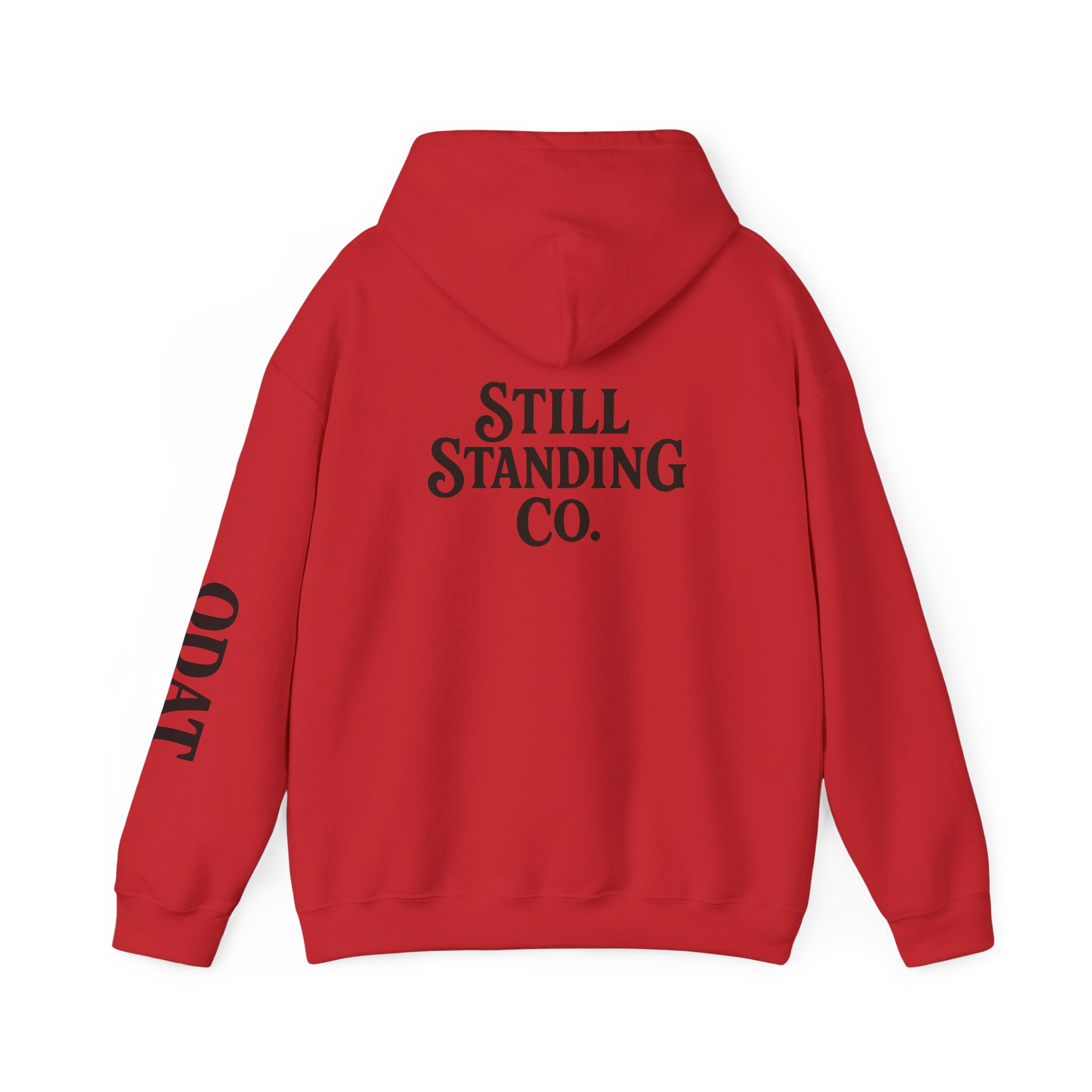 Ask Me About My Character Defects Hoodie — Still Standing Co. Graphic Pullover