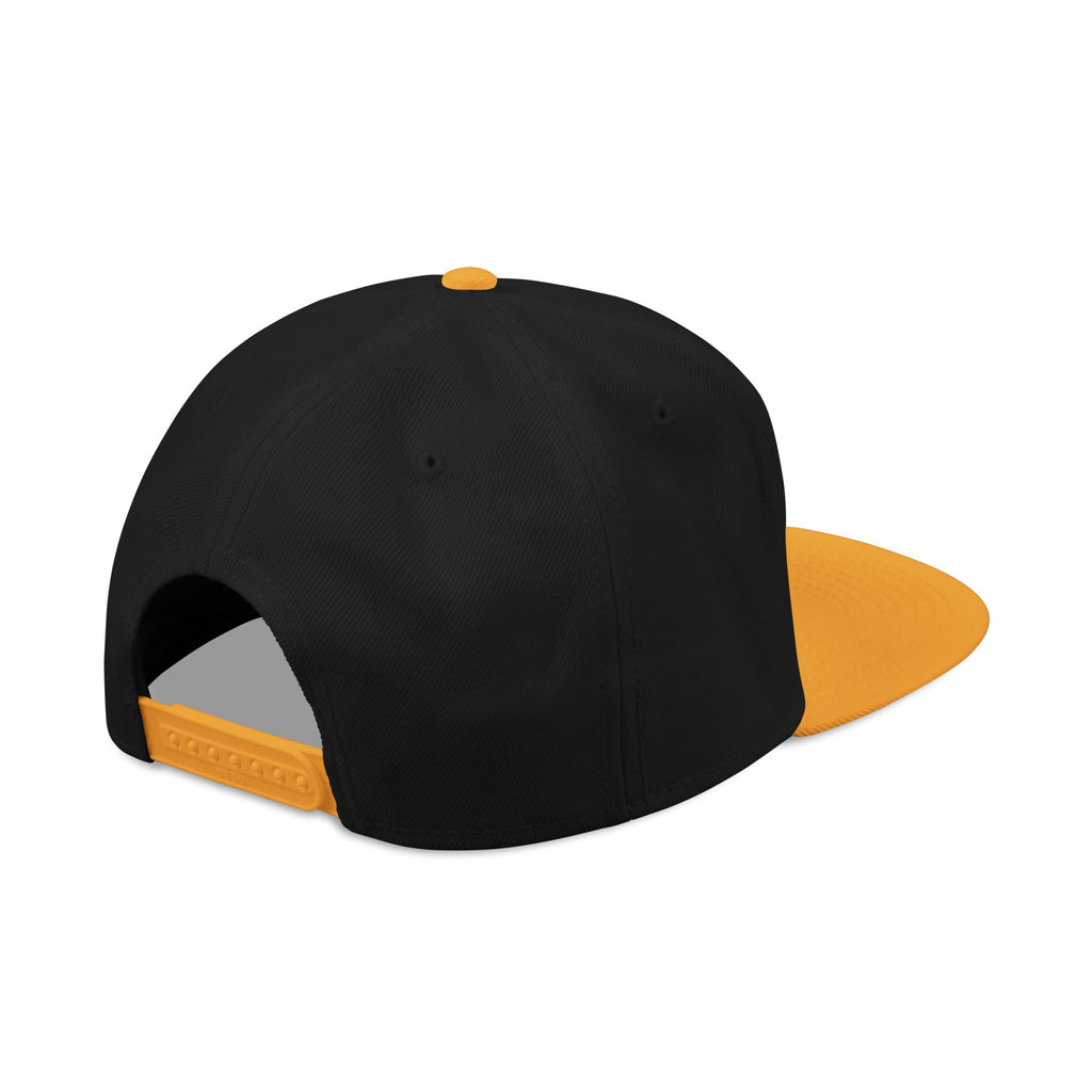 Still Standing Co. Embroidered Snapback Hat
